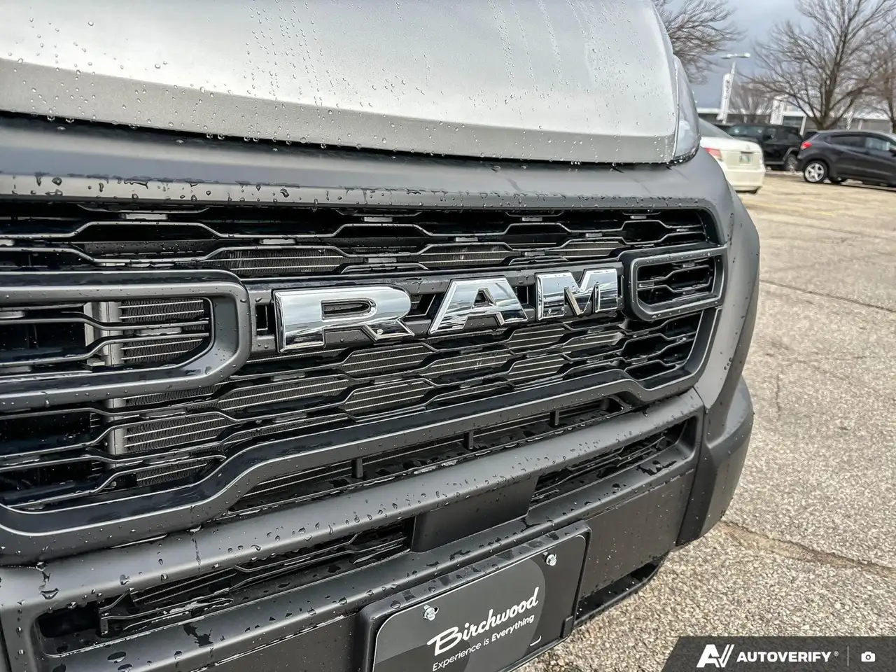 RAM Promaster снимка RAM Promaster