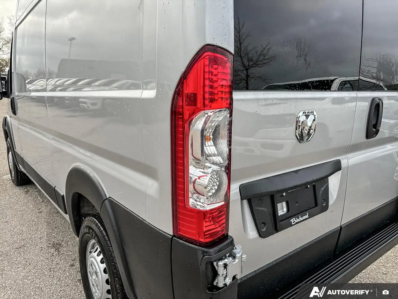 RAM Promaster снимка RAM Promaster