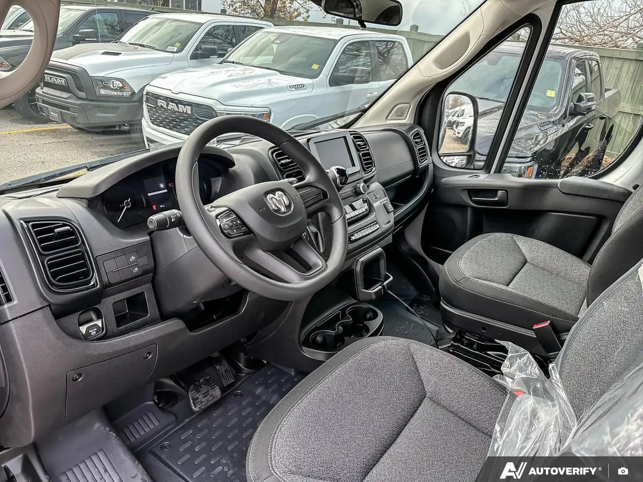 RAM Promaster снимка RAM Promaster