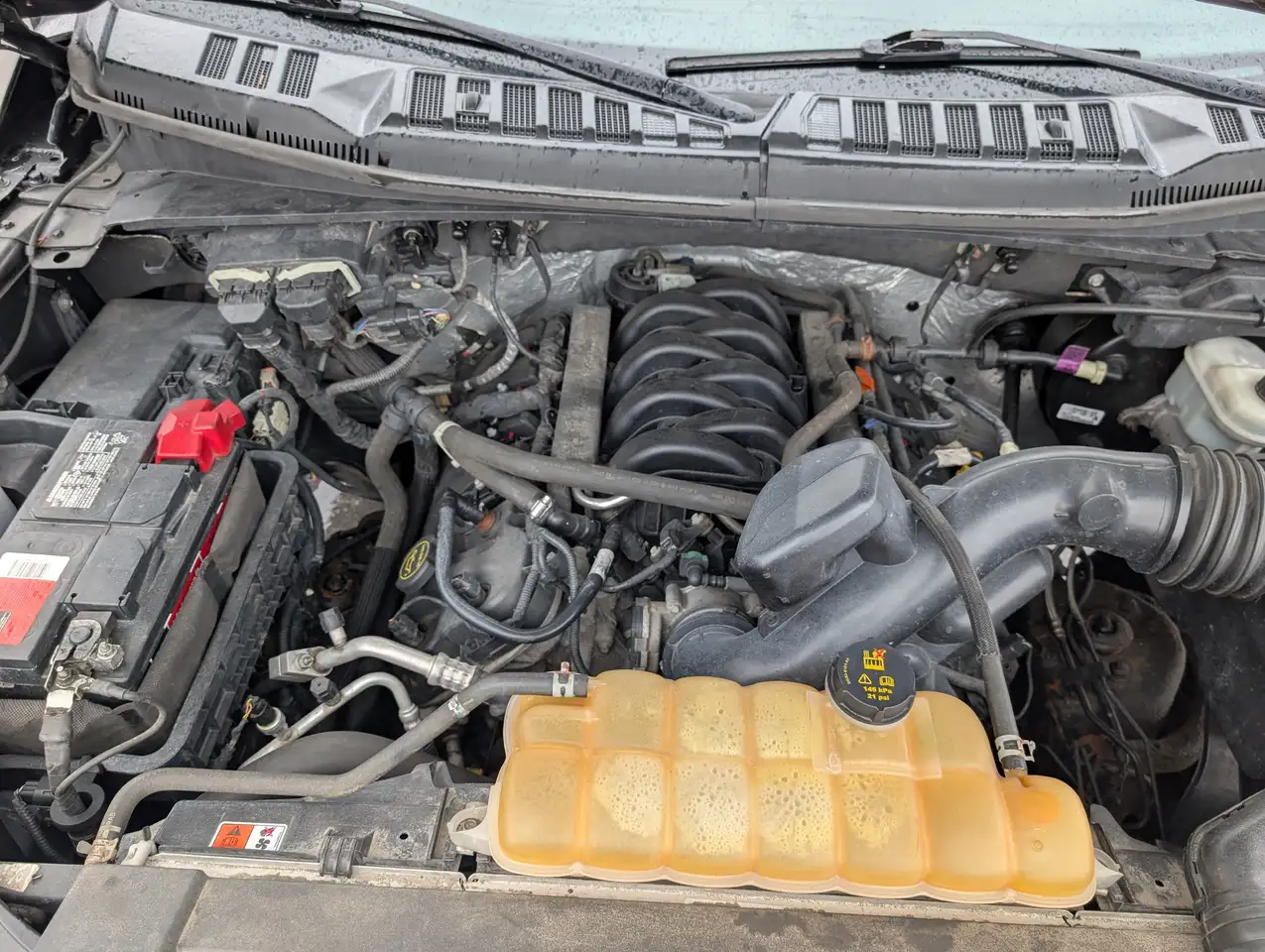 Ford F 150 снимка Ford F 150