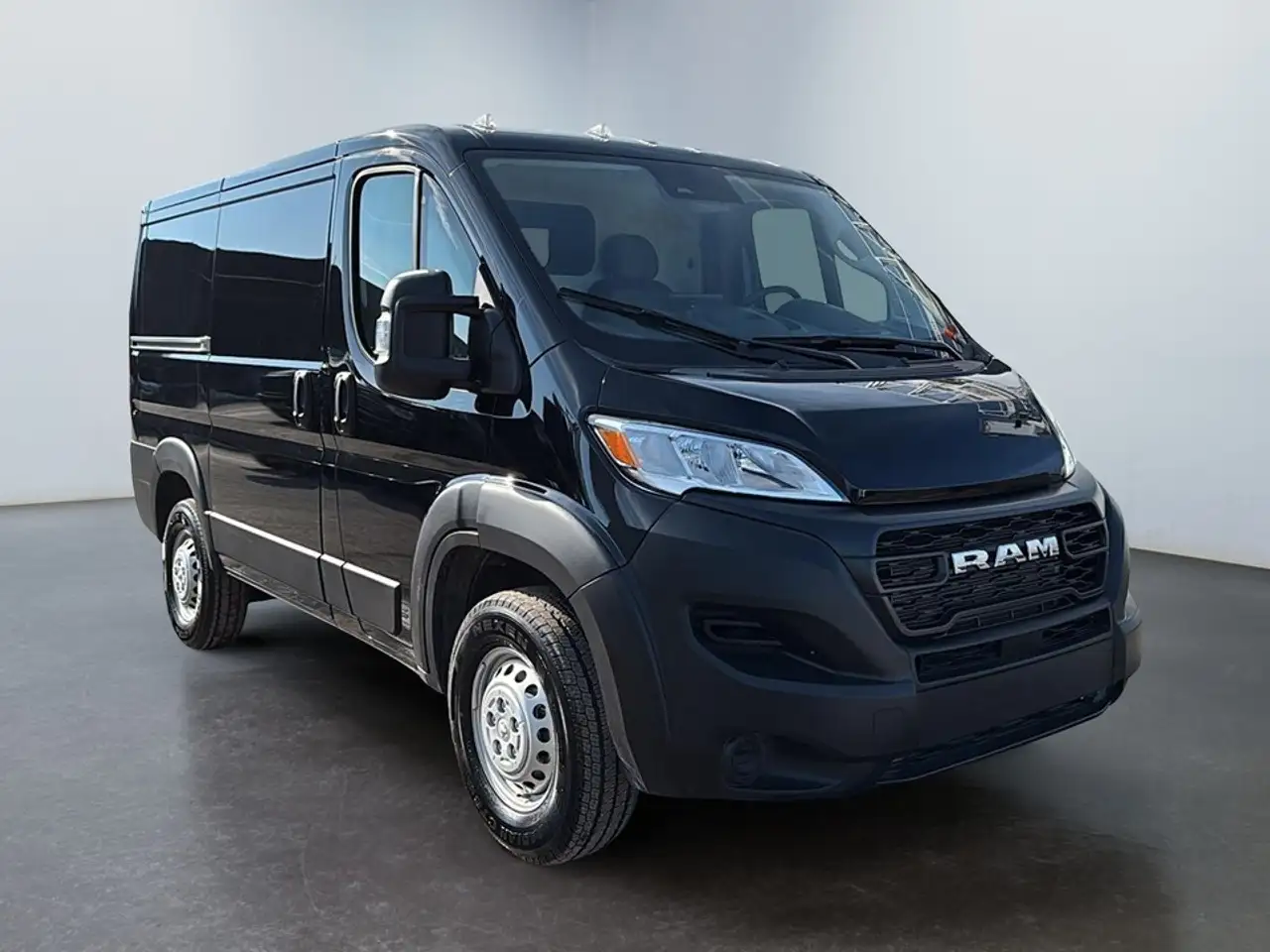 RAM Promaster photo RAM Promaster
