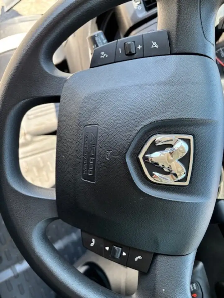 RAM Promaster снимка RAM Promaster