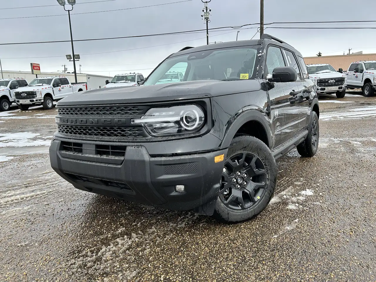 Ford Bronco Sport снимка Ford Bronco Sport