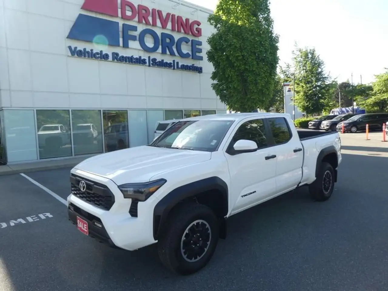 Toyota Tacoma fotografie Toyota Tacoma