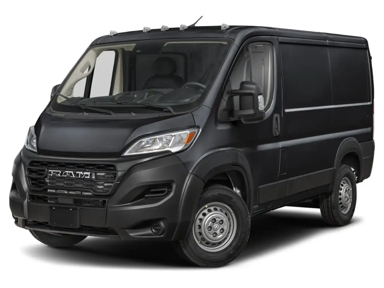 RAM Promaster снимка RAM Promaster