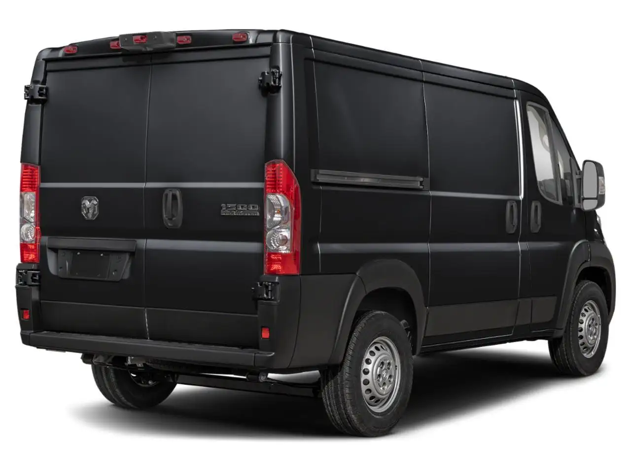 RAM Promaster снимка RAM Promaster