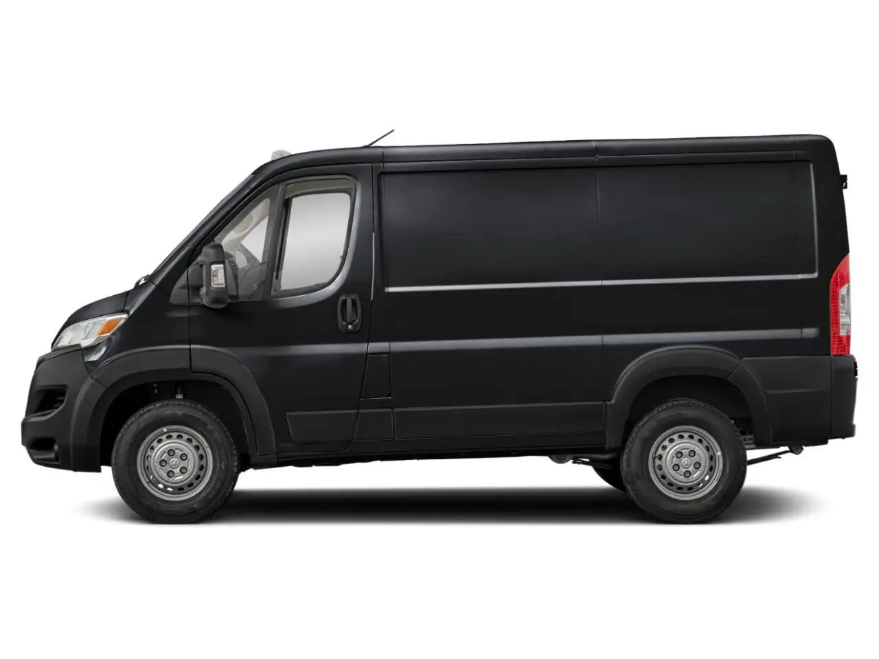 RAM Promaster снимка RAM Promaster