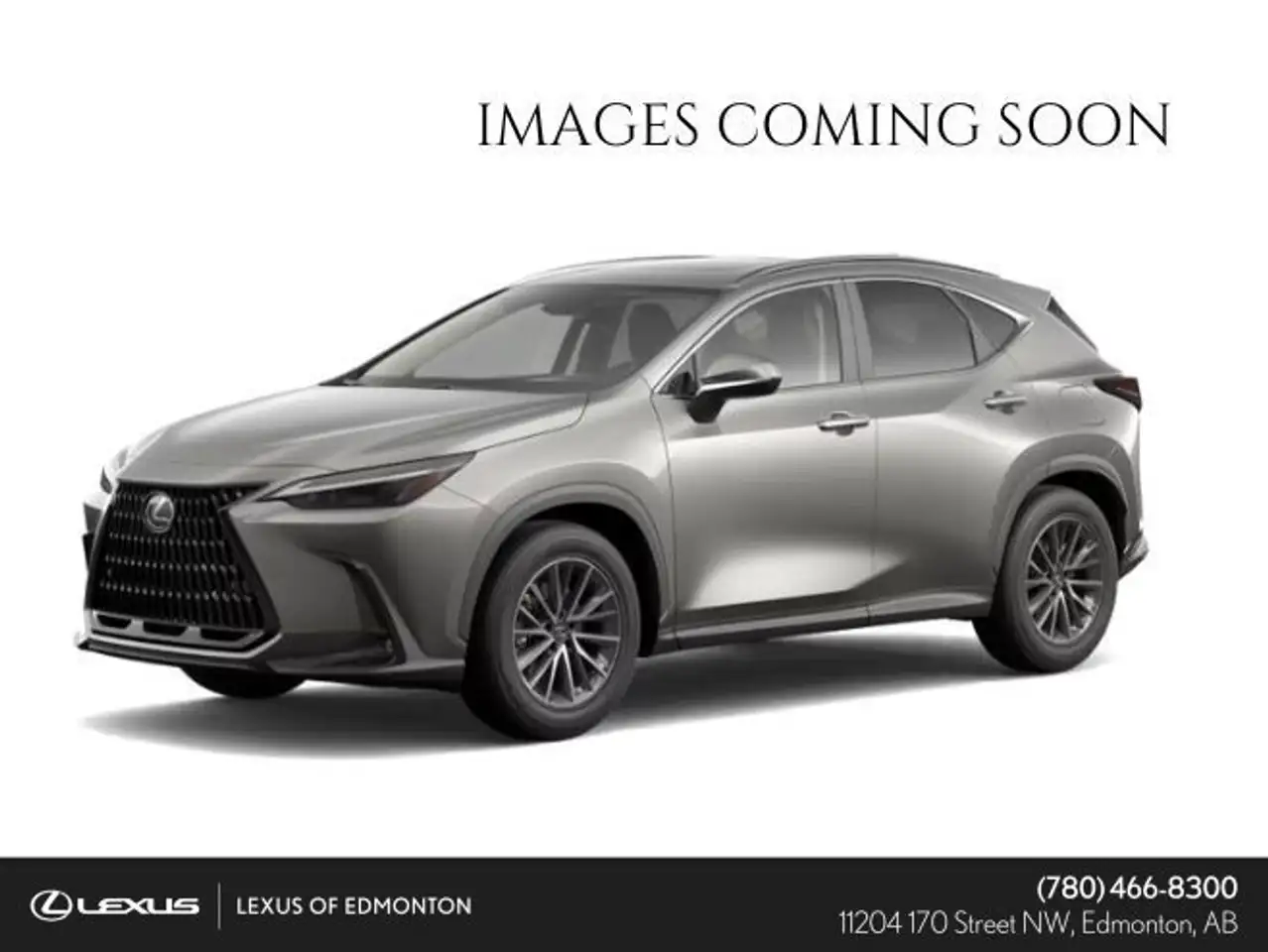 Lexus NX снимка Lexus NX