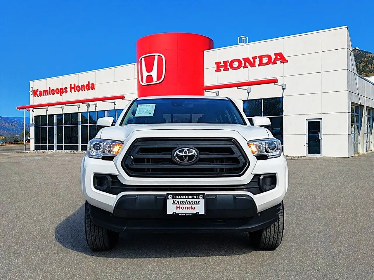 Toyota Tacoma fotografie Toyota Tacoma