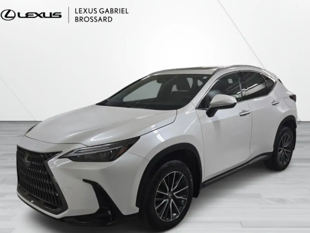 2024 Lexus NX