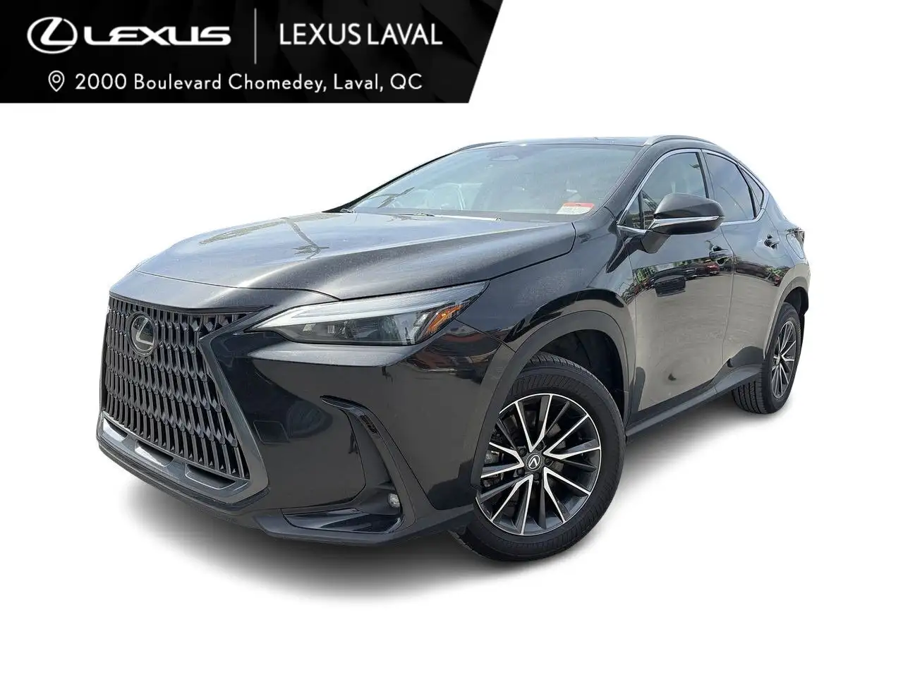 2025 Lexus NX