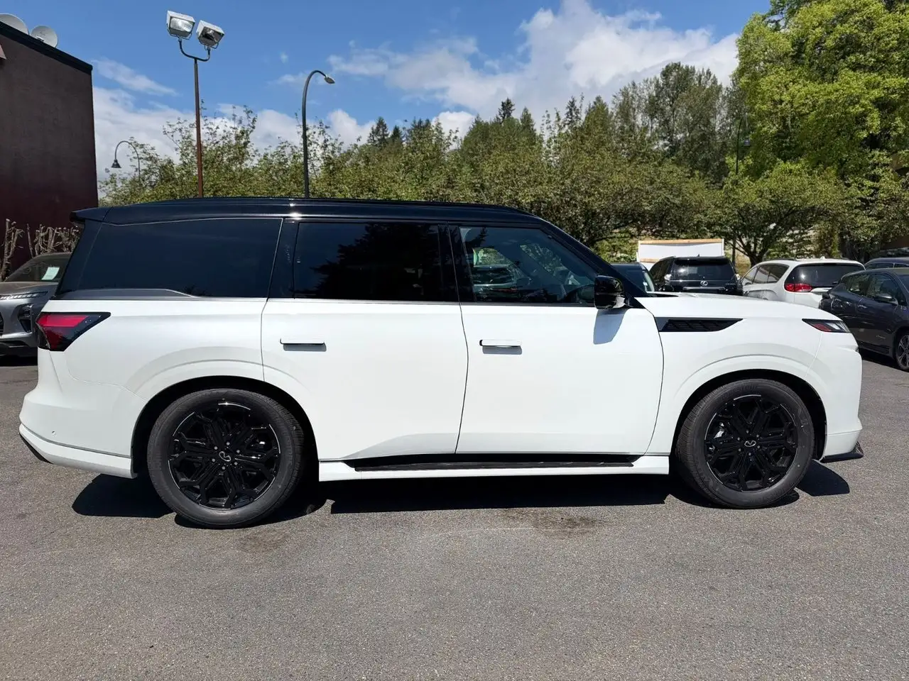 Infiniti QX80 снимка Infiniti QX80