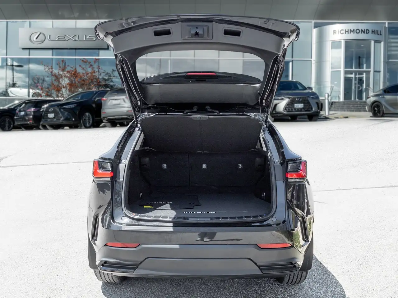 Lexus NX photo Lexus NX