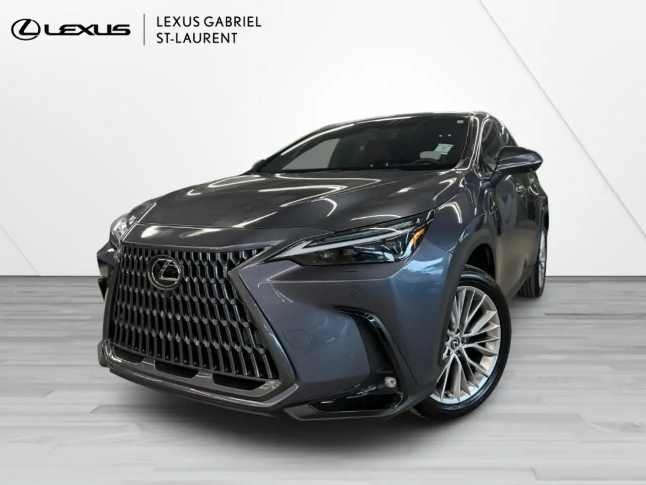 2024 Lexus NX