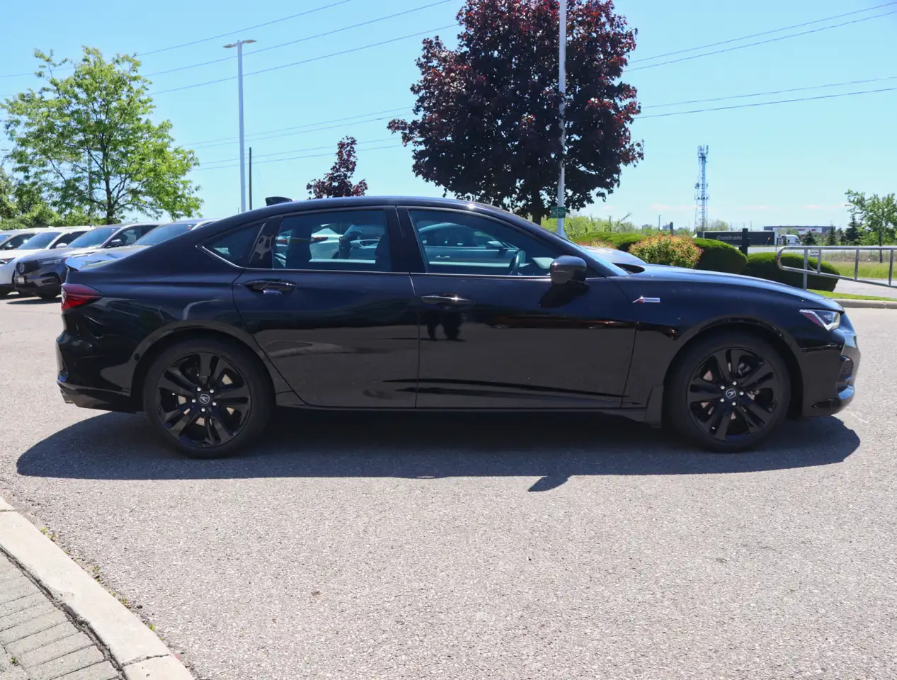Acura TLX fotografie Acura TLX