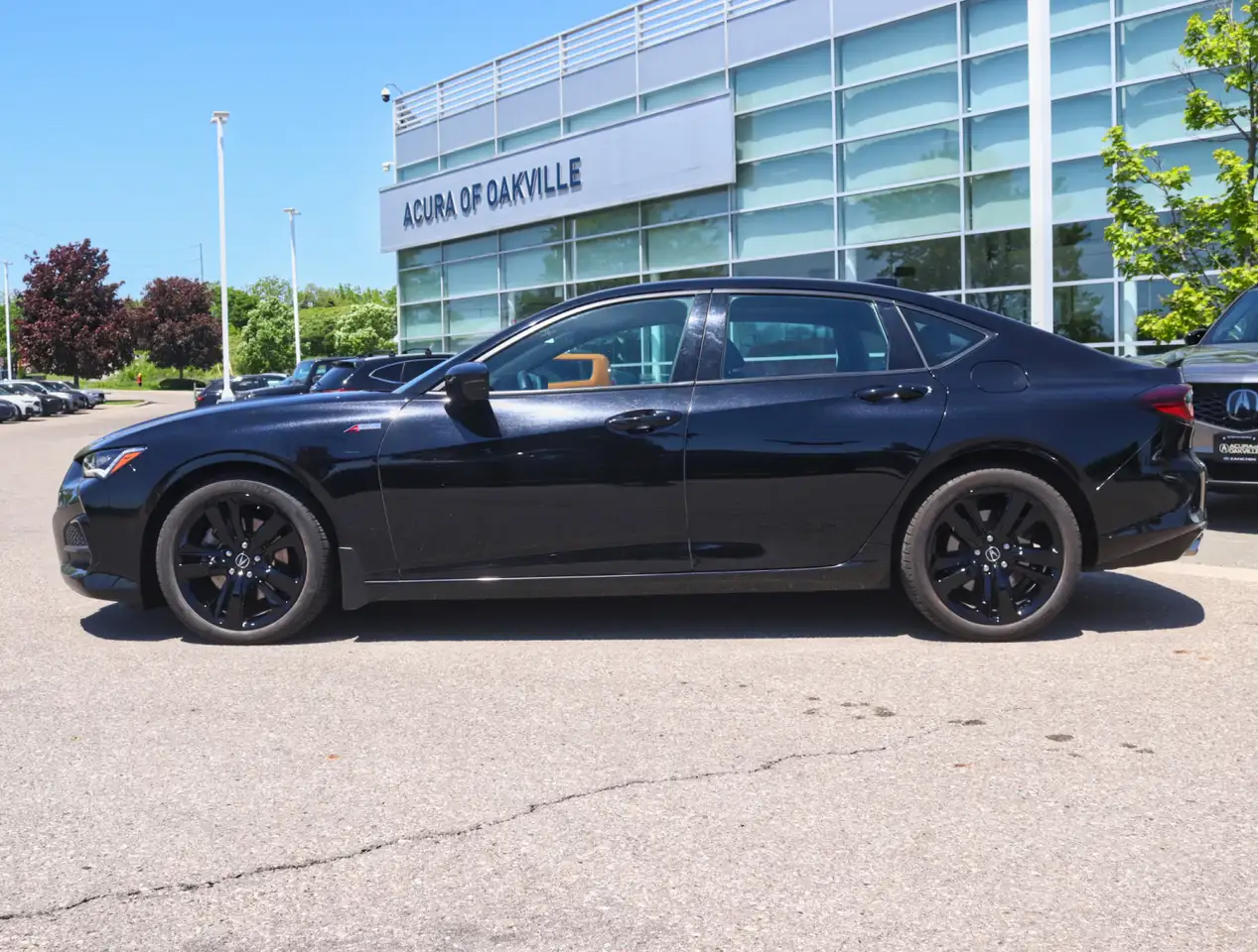 Acura TLX fotografie Acura TLX