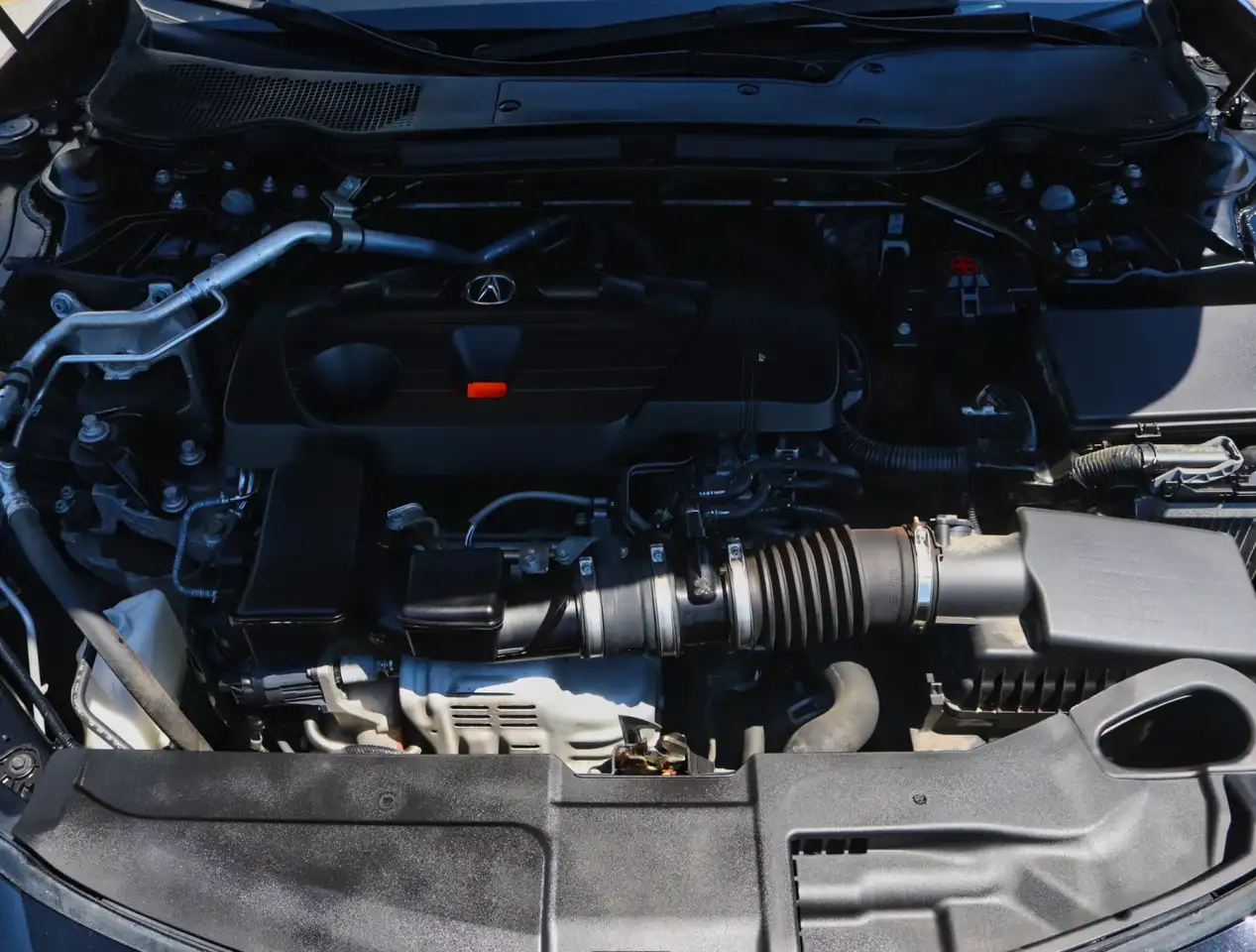 Acura TLX fotografie Acura TLX
