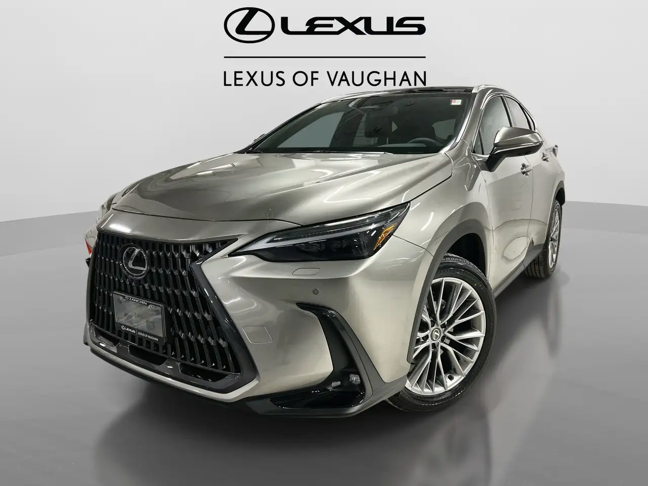 Lexus NX photo Lexus NX