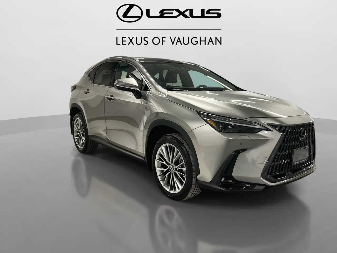 Lexus NX photo Lexus NX