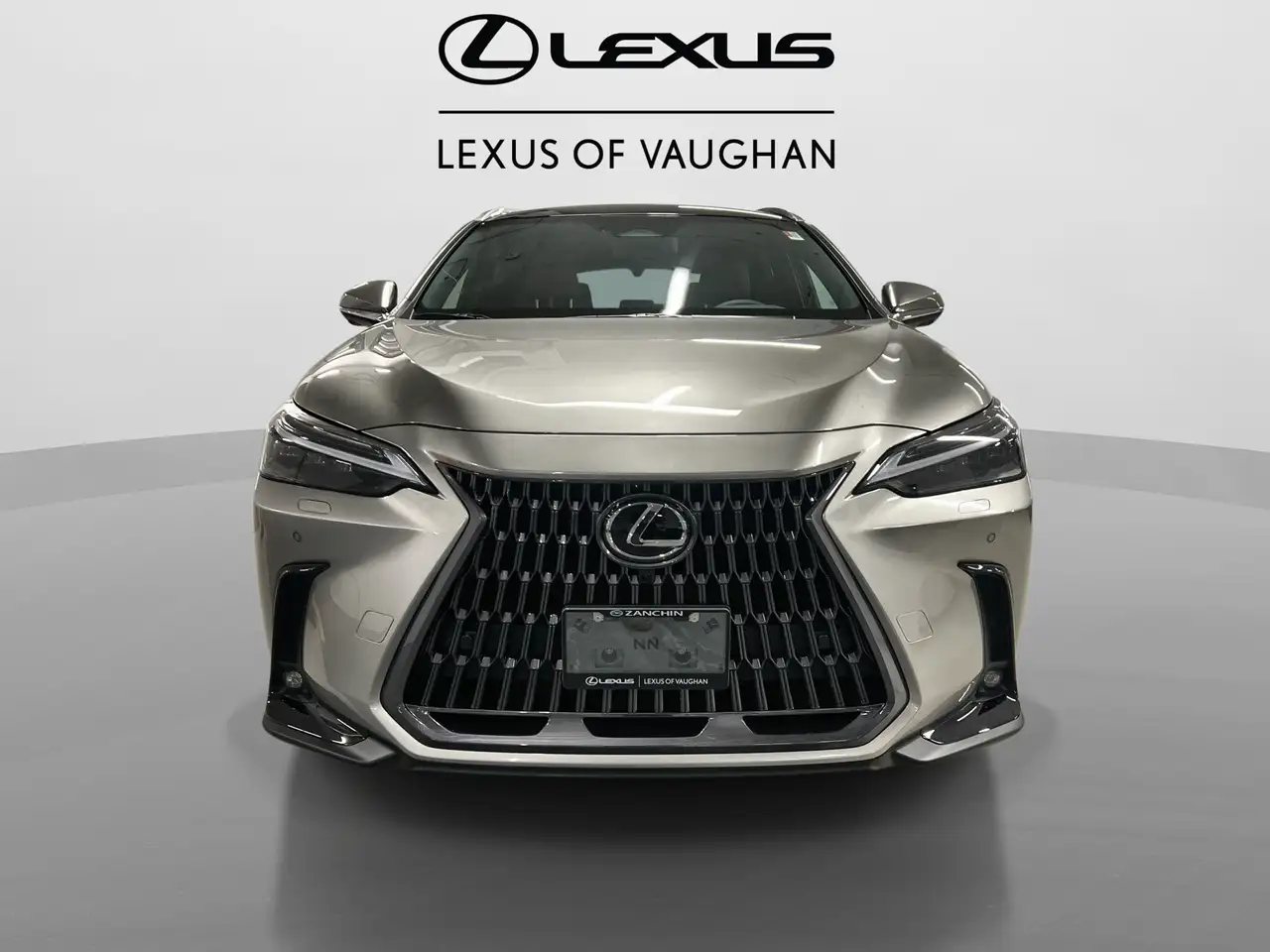 Lexus NX photo Lexus NX