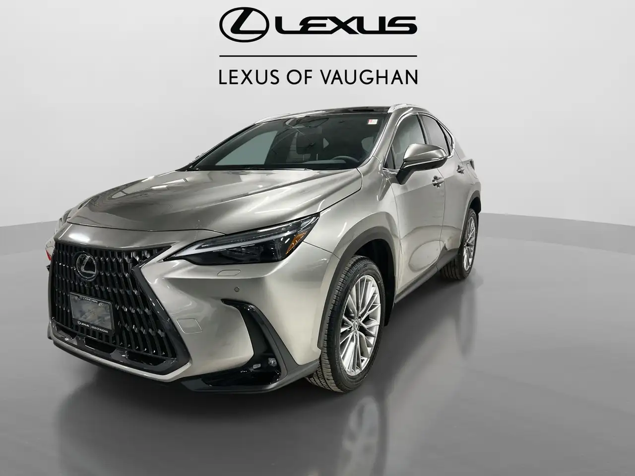 Lexus NX photo Lexus NX