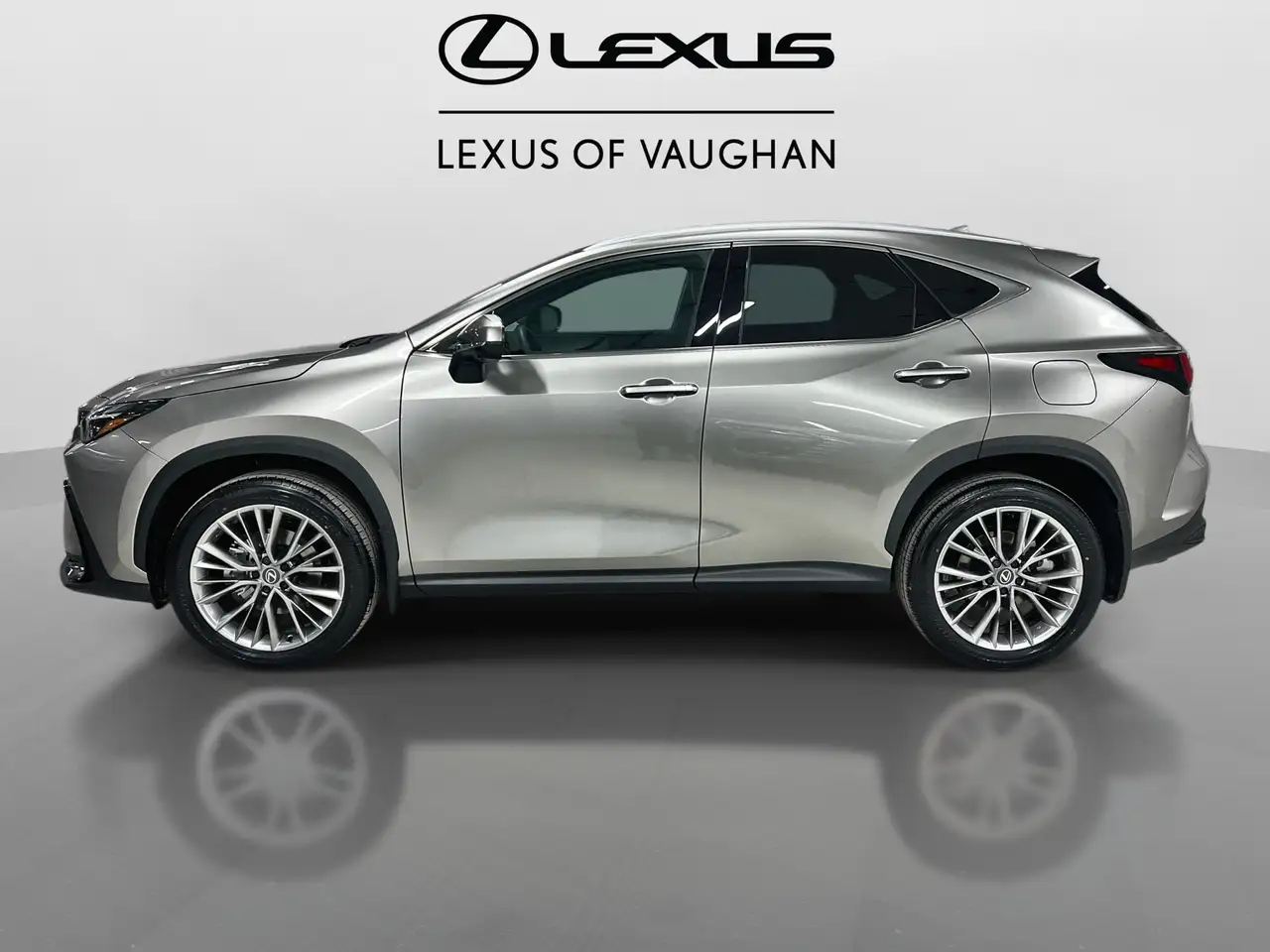 Lexus NX photo Lexus NX