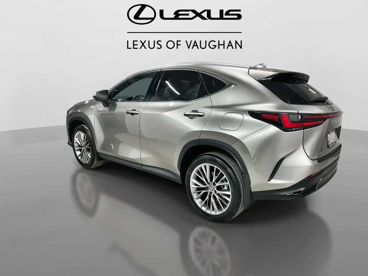 Lexus NX photo Lexus NX