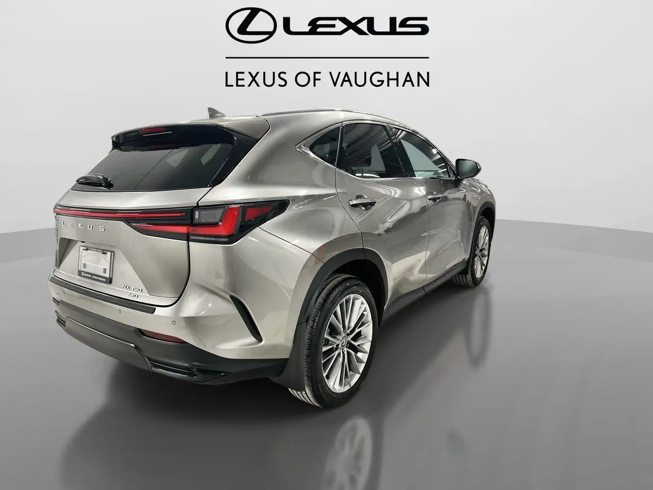 Lexus NX photo Lexus NX