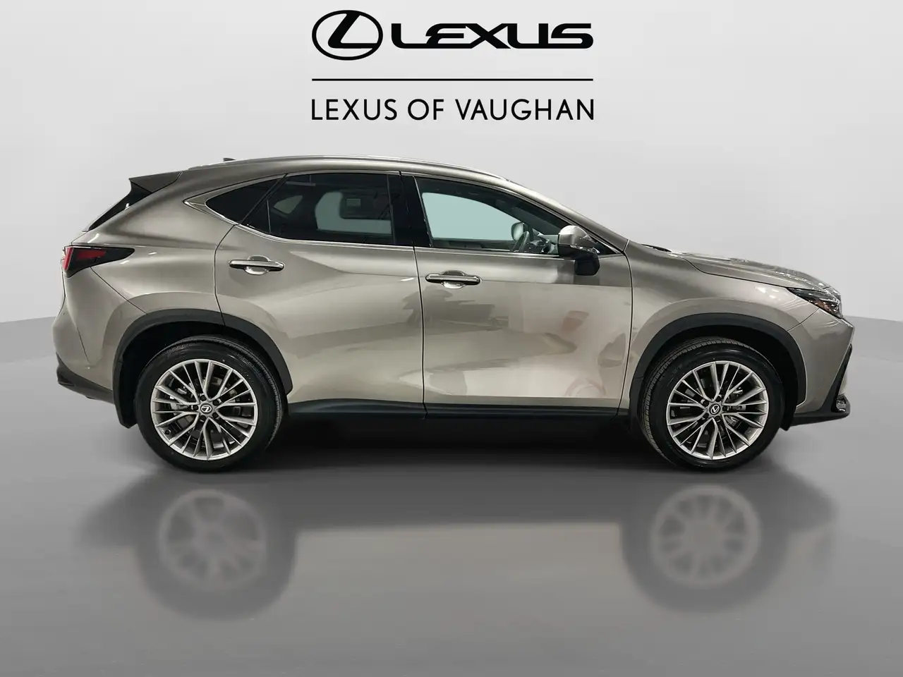 Lexus NX photo Lexus NX