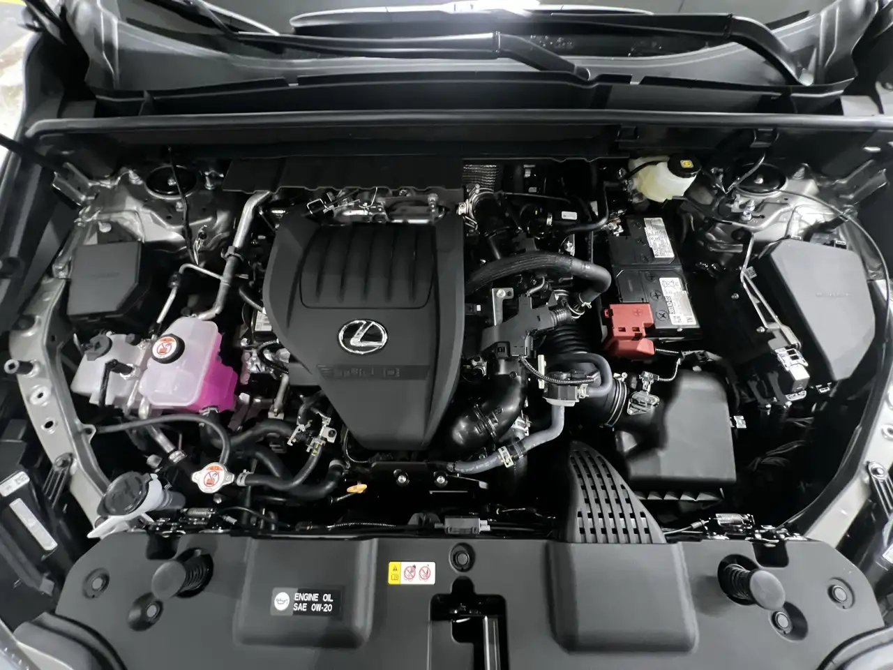 Lexus NX photo Lexus NX