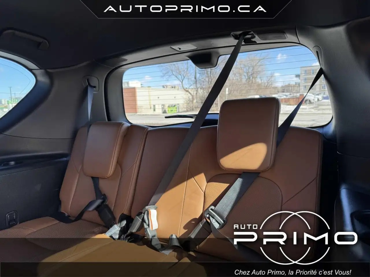 Infiniti QX80 снимка Infiniti QX80