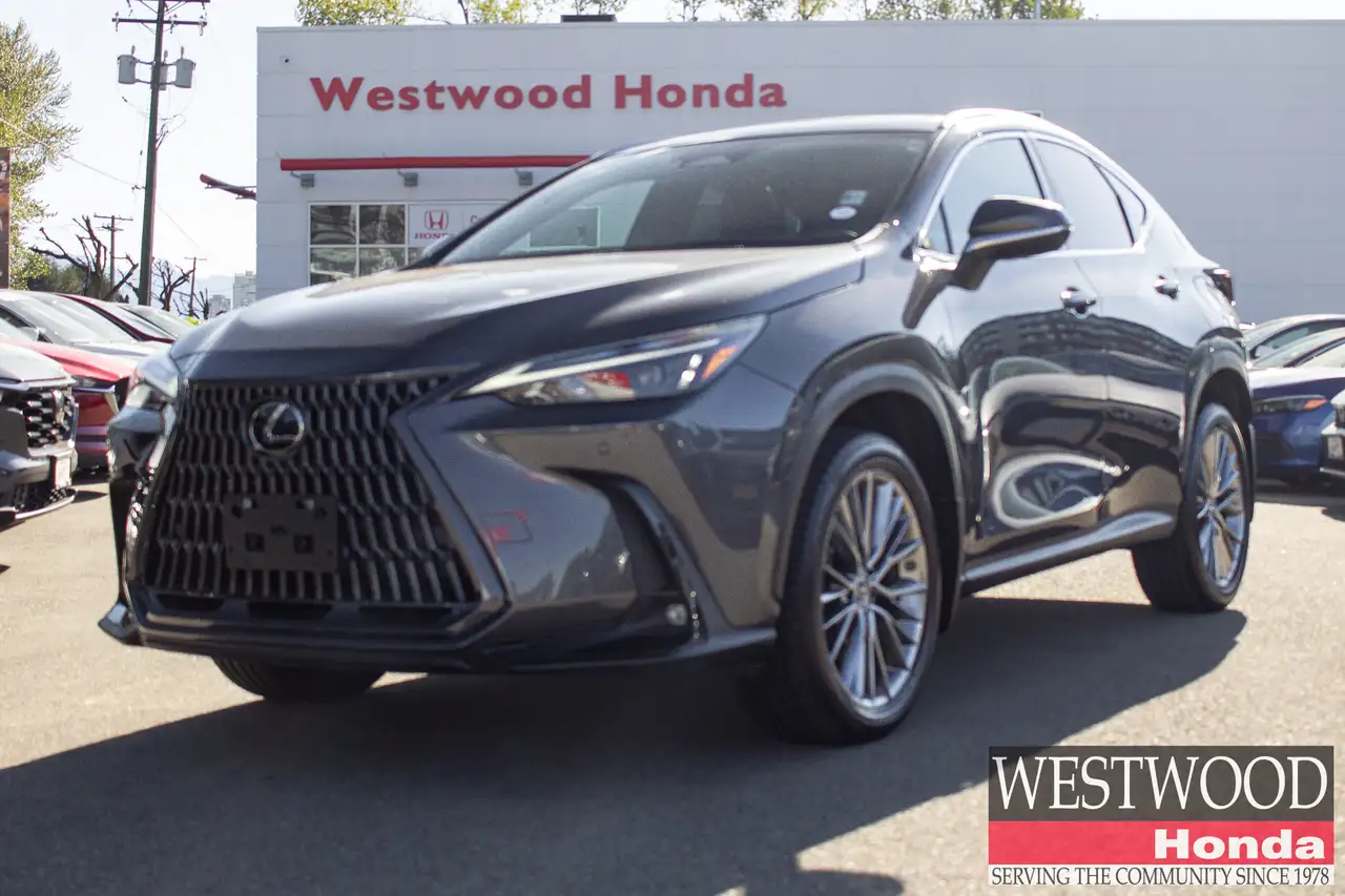 2023 Lexus NX