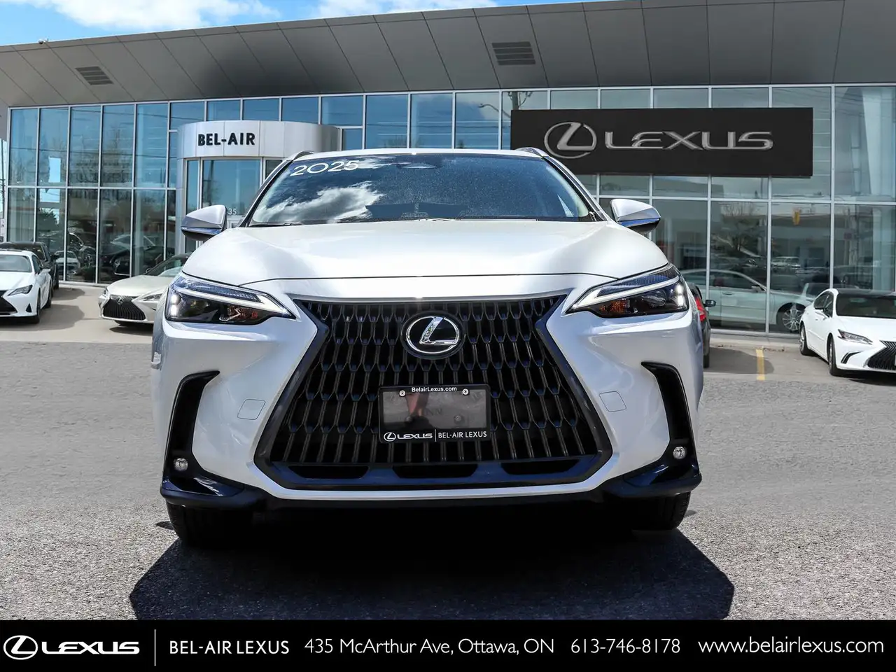 Lexus NX photo Lexus NX