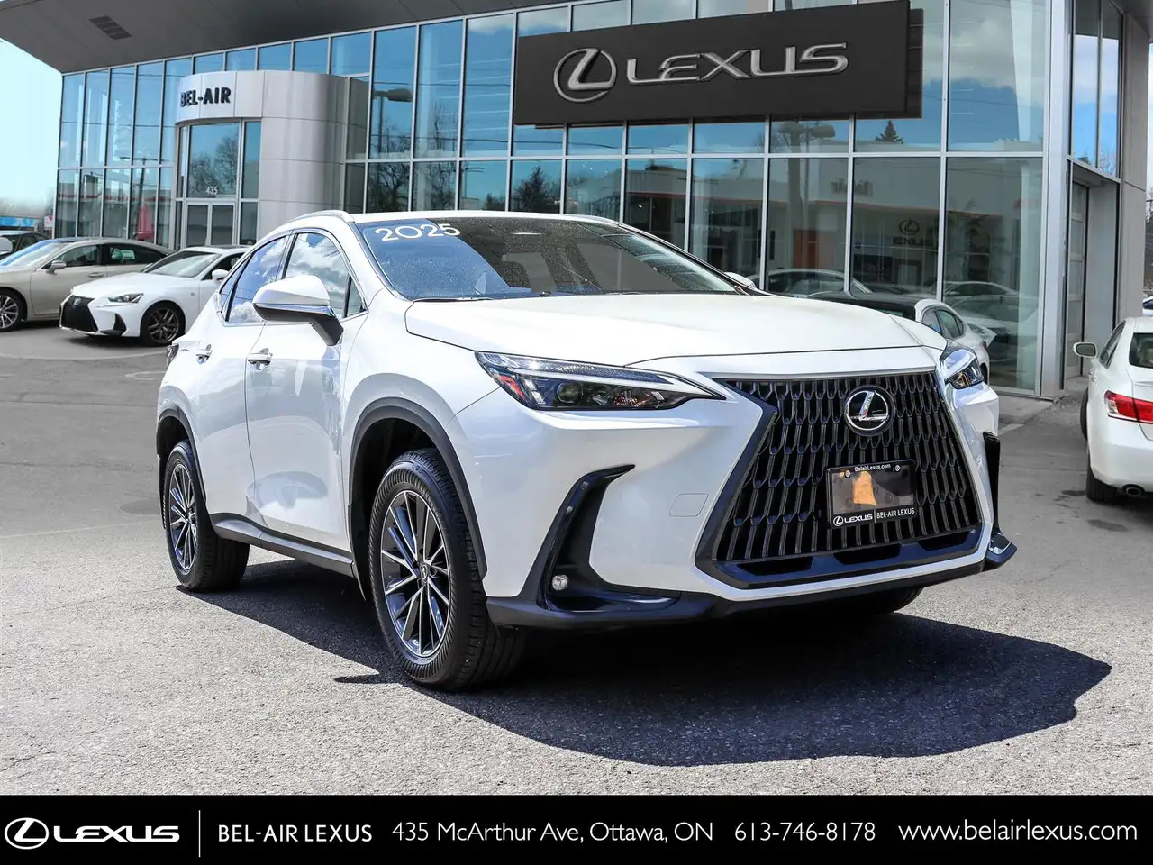 Lexus NX photo Lexus NX