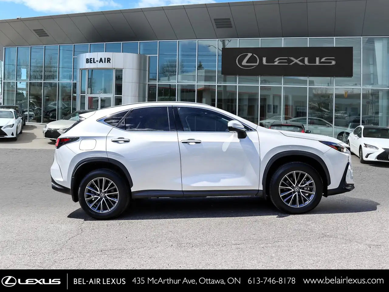 Lexus NX photo Lexus NX