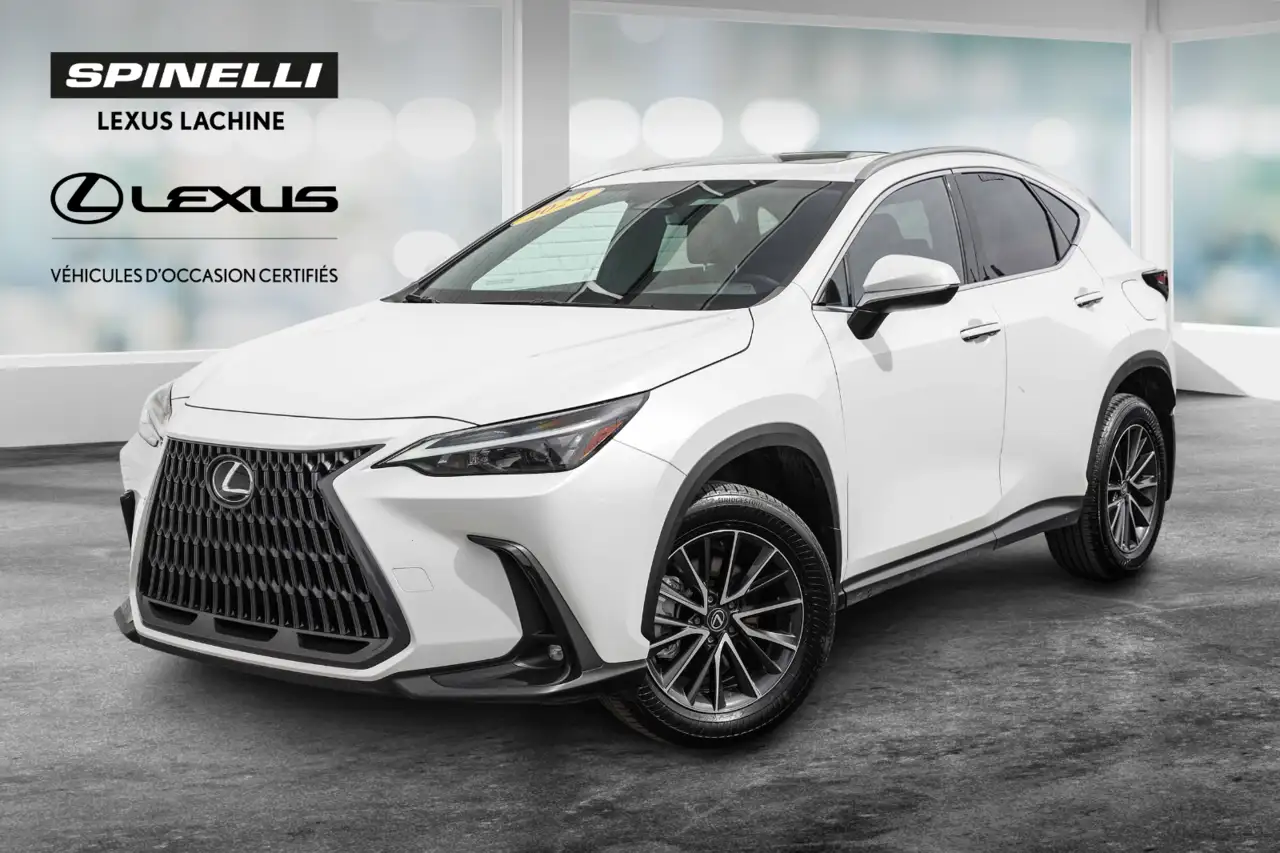 2024 Lexus NX