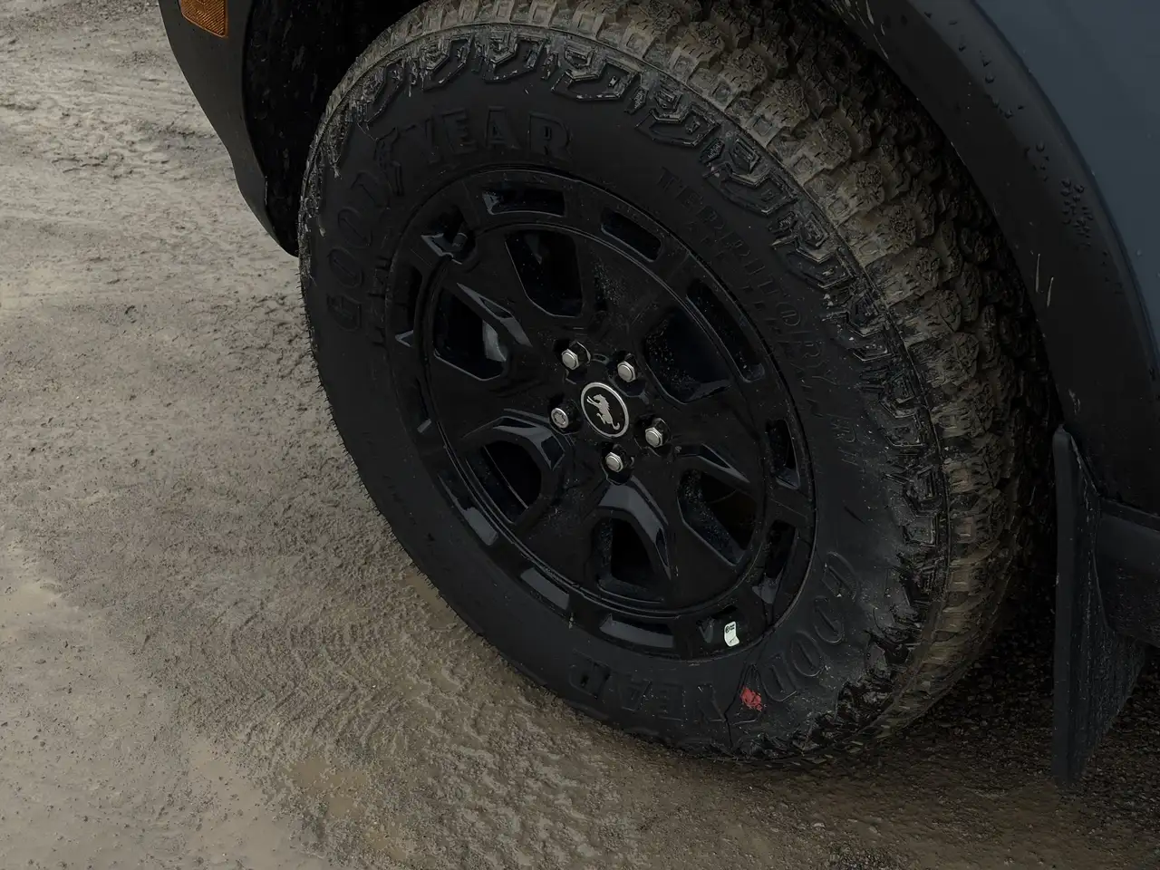 Ford Bronco Sport снимка Ford Bronco Sport