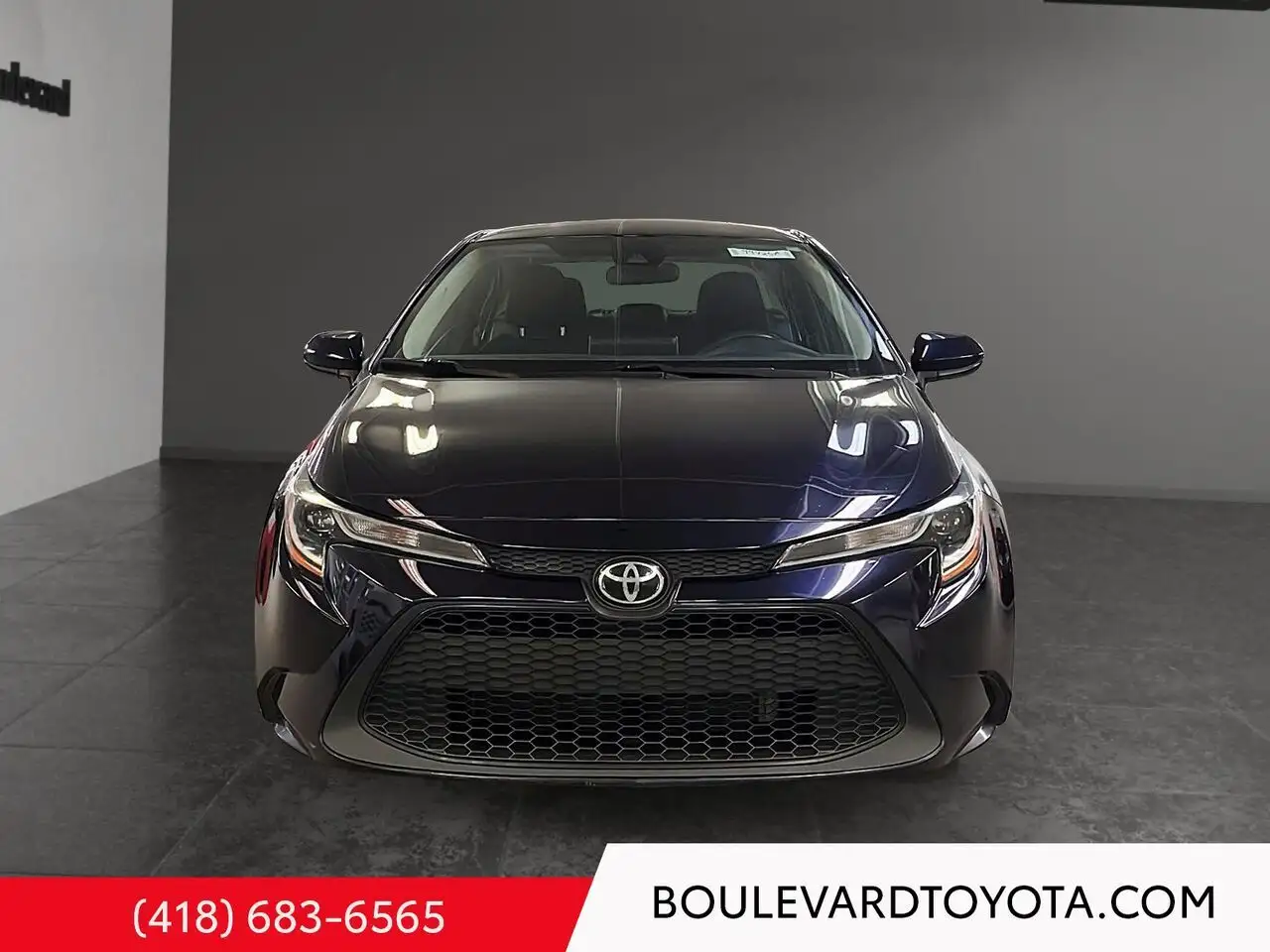 Toyota Corolla photo Toyota Corolla