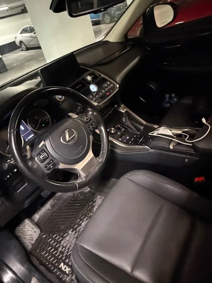Lexus NX снимка Lexus NX