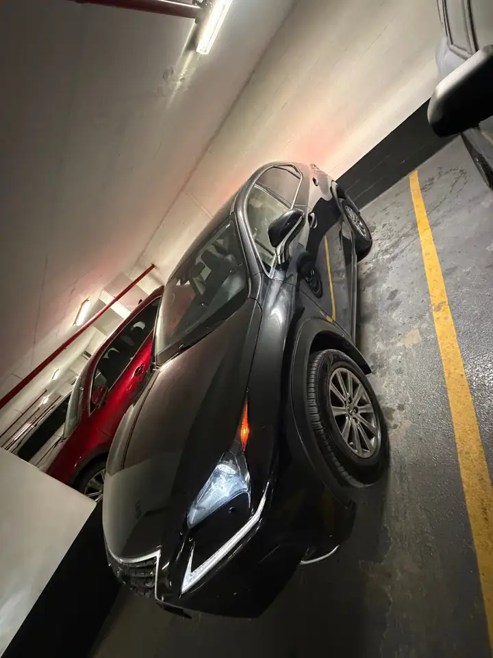 Lexus NX снимка Lexus NX