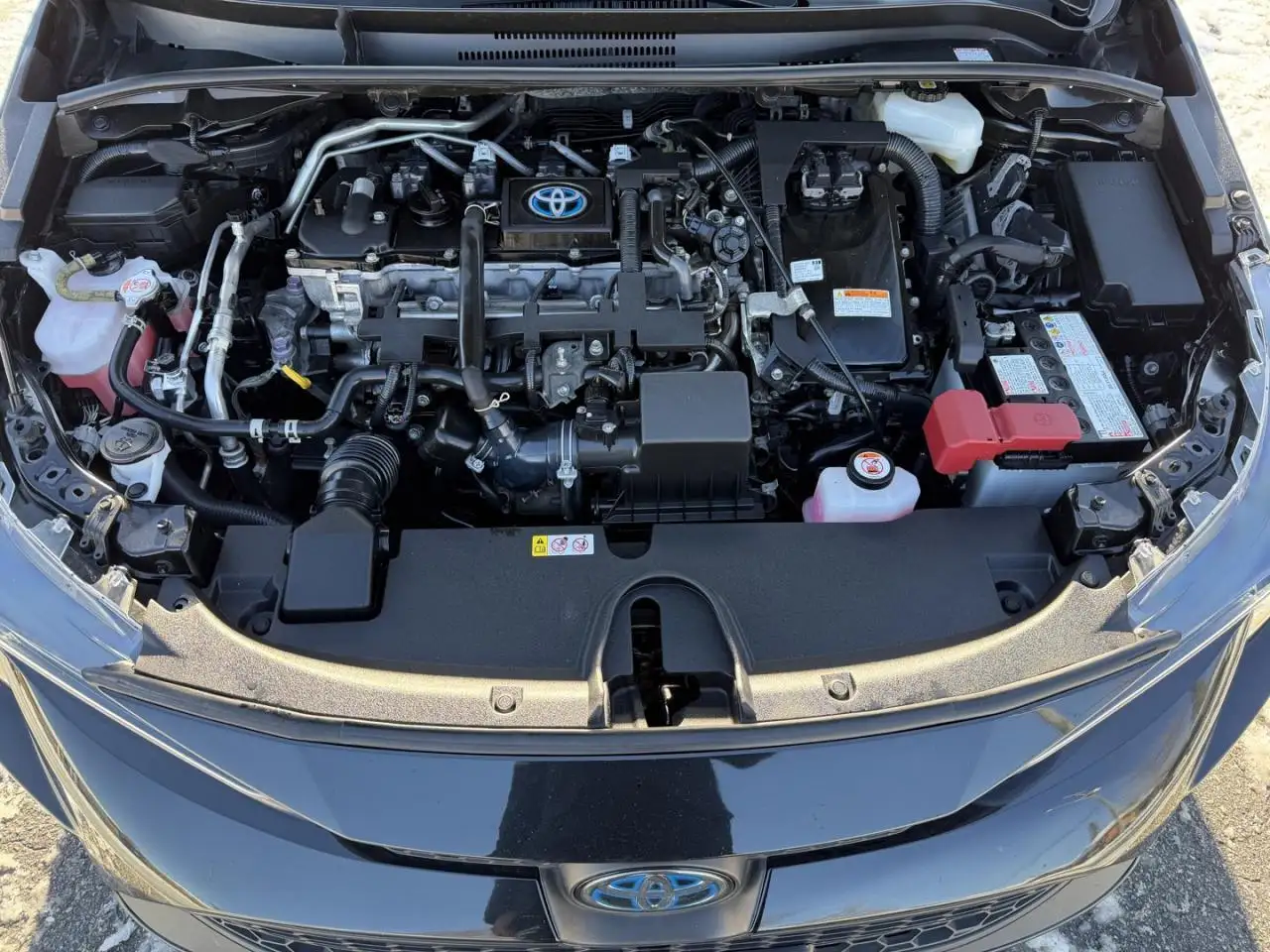 Toyota Corolla снимка Toyota Corolla
