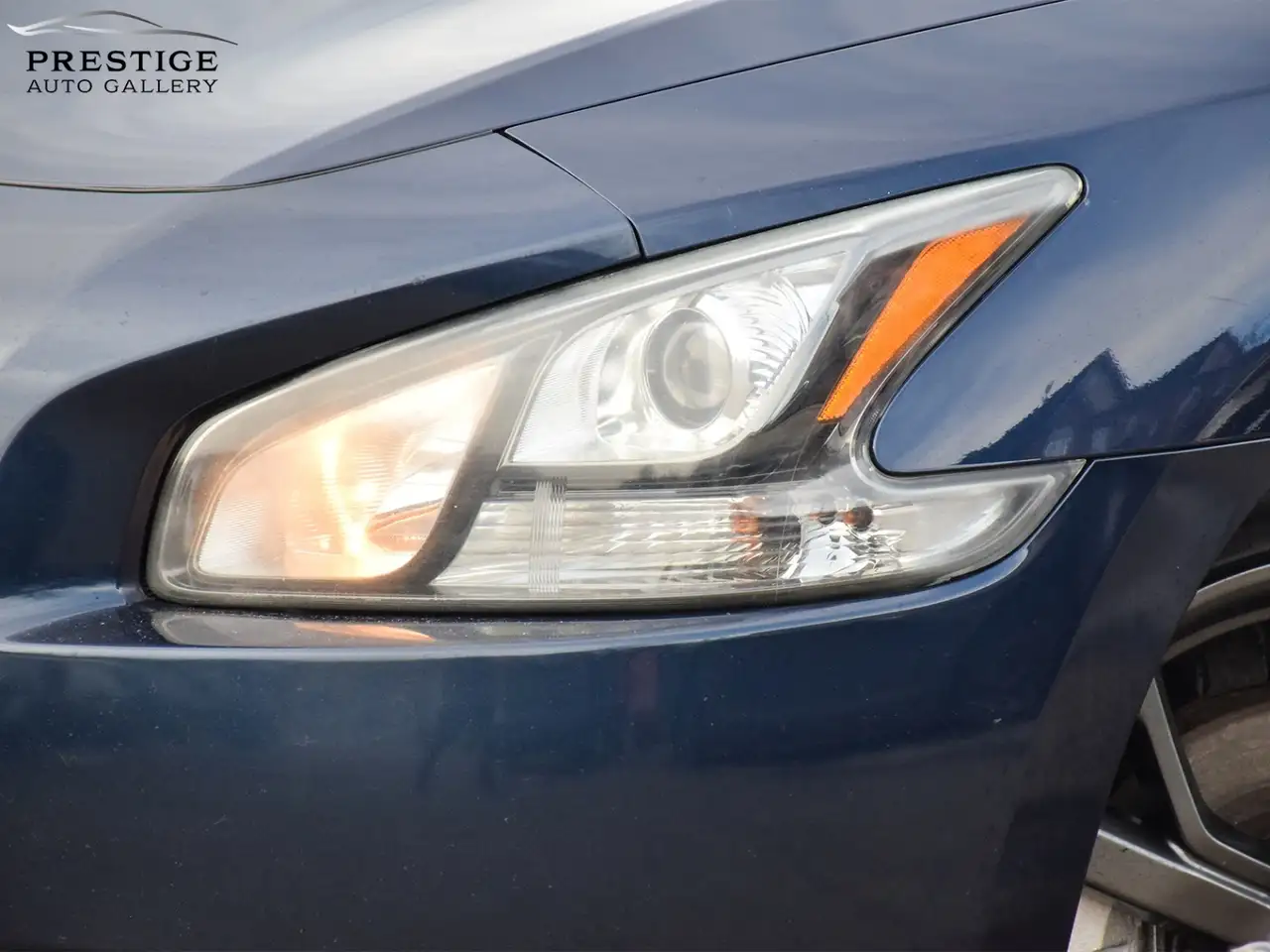 Nissan Maxima photo Nissan Maxima