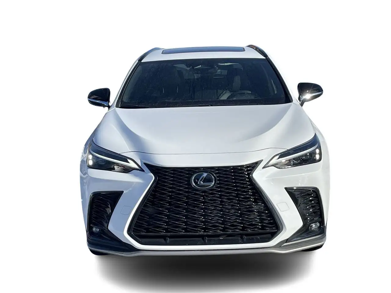 Lexus NX photo Lexus NX