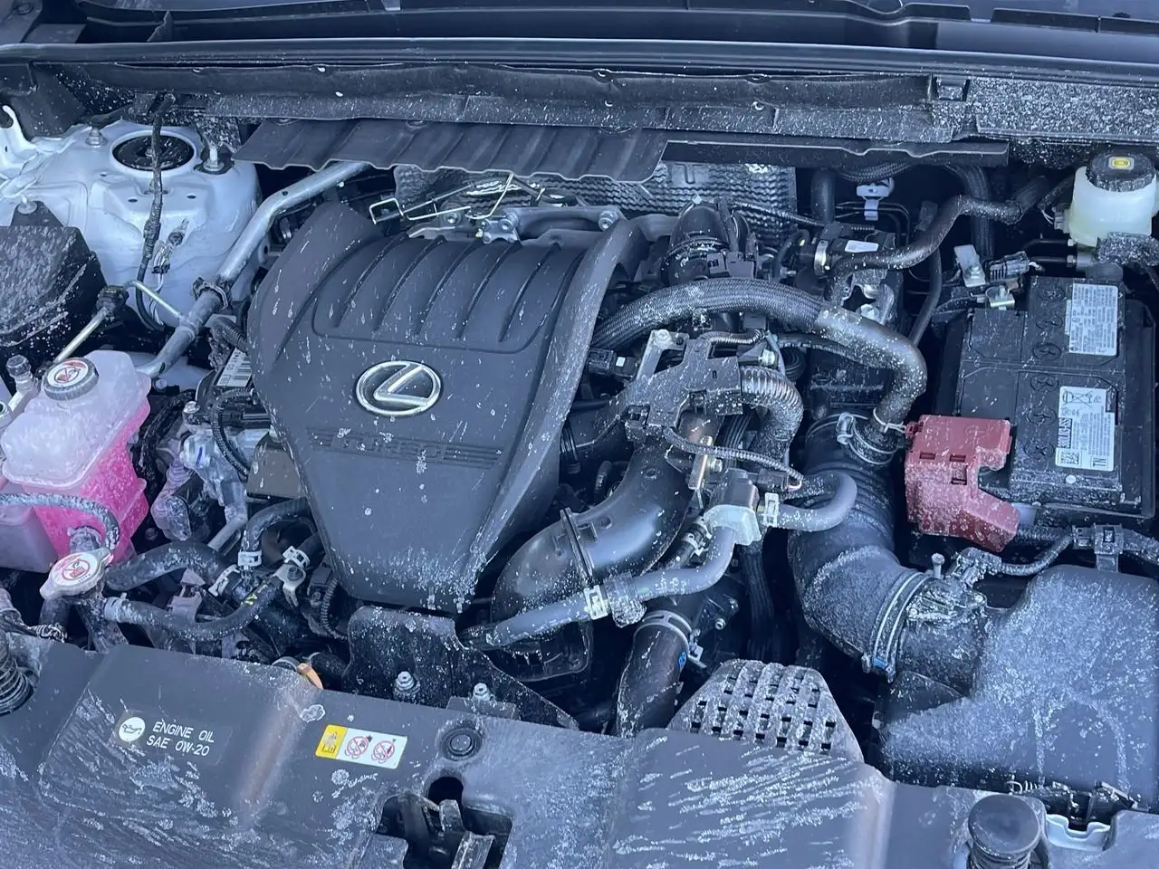Lexus NX photo Lexus NX