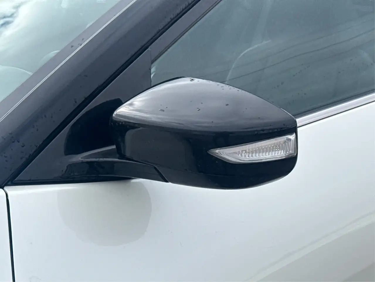 Nissan Maxima снимка Nissan Maxima