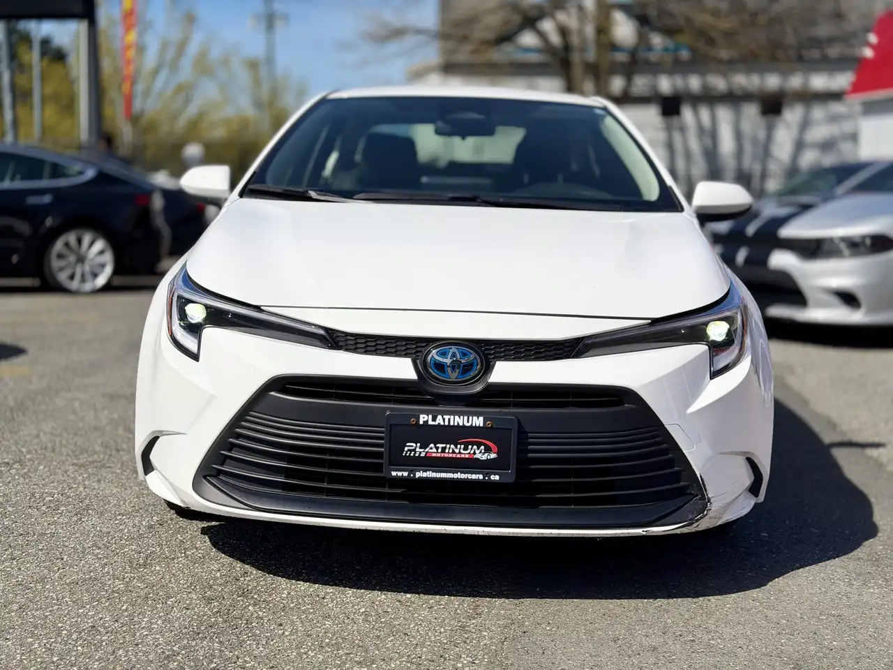 Toyota Corolla photo Toyota Corolla