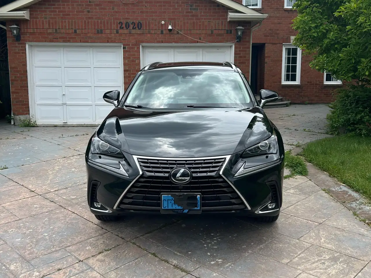 2020 Lexus NX
