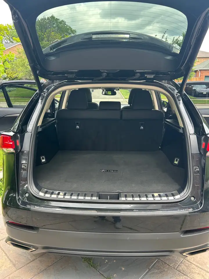 Lexus NX photo Lexus NX