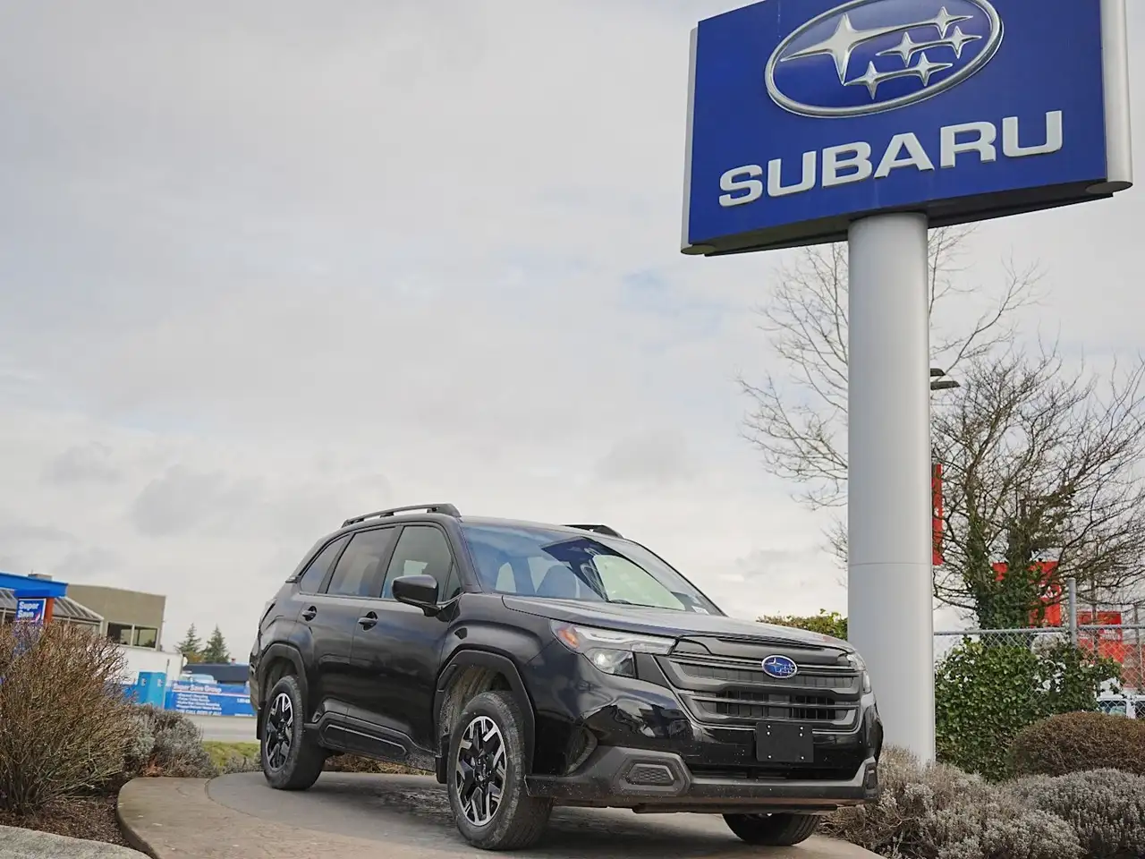 Subaru Forester fotografie Subaru Forester