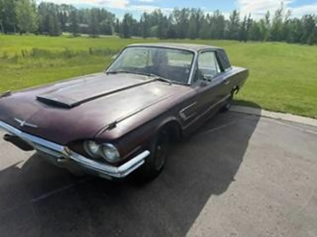 Ford Thunderbird fotografie Ford Thunderbird